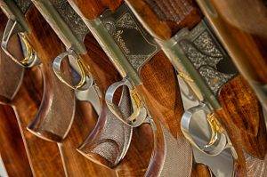 Row of vintage rifles