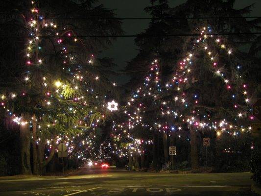Altadena’s Christmas Tree Lane